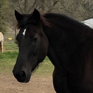 Meet your Posher, Patricia